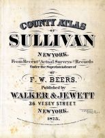 Sullivan County 1875 